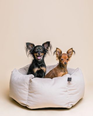 VELUDO je stylový pelíšek pro psy se snadnou údržbou, který vyniká originálním šestihranným tvarem, vysoce kvalitní výplní...